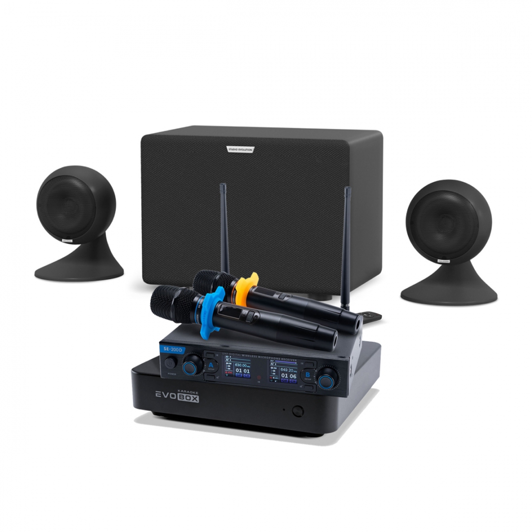 караоке-комплект EVOBOX + EvoSound Sphere 2.1 в Чувашии