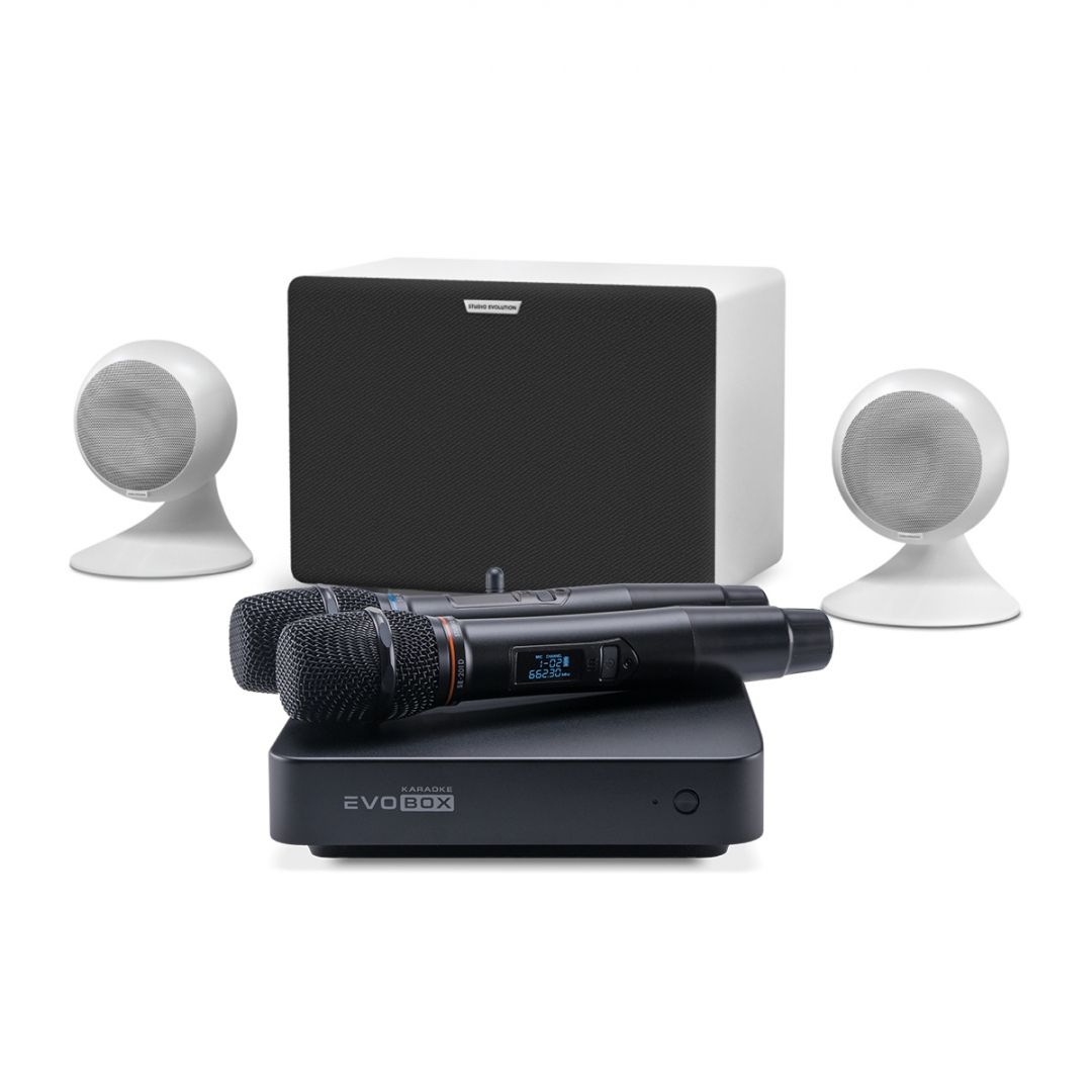 караоке-комплект EVOBOX Classic + EvoSound Sphere 2.1 в Чувашии