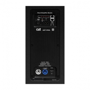 Активная акустическая система AST-310A в Чувашии