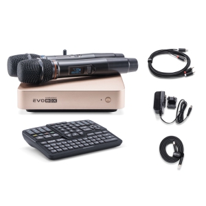 EVOBOX Classic караоке-система для дома в Чувашии