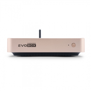 EVOBOX Plus караоке-система для дома в Чувашии