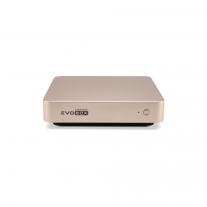 EVOBOX с микрофонами в Чувашии